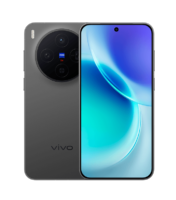 Vivo X300